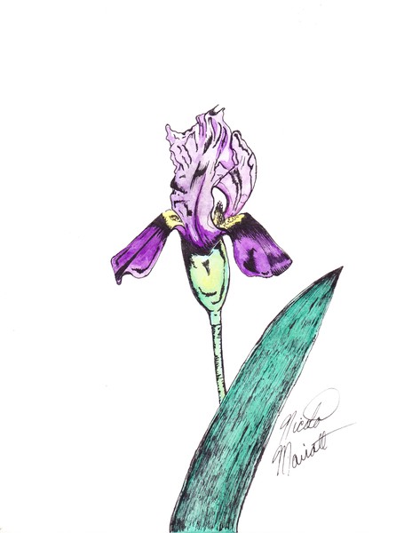 Oklahoma Flower