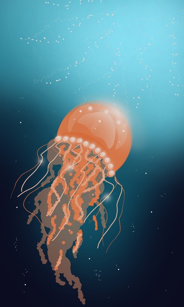 Jellyfish