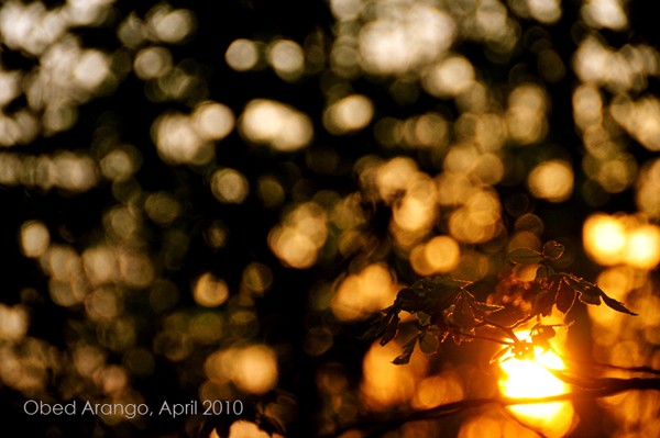 Illuminated Universe / Universo Iluminado