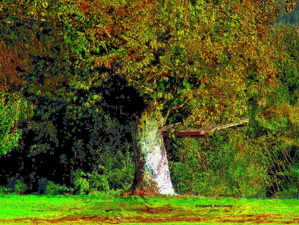 The tree
