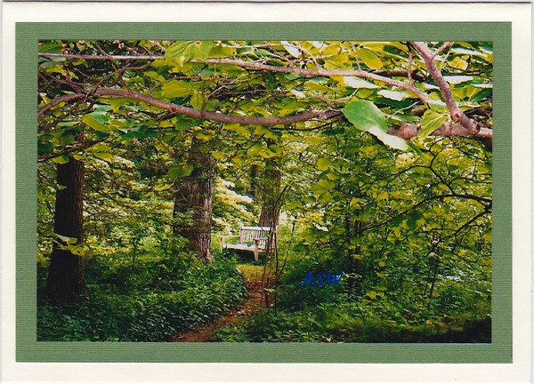 Secluded Garden Bench
