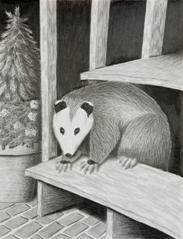 Opossum