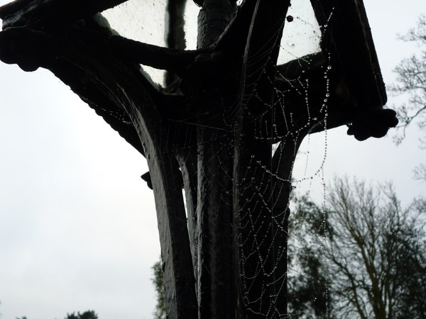 Quite Wet Web