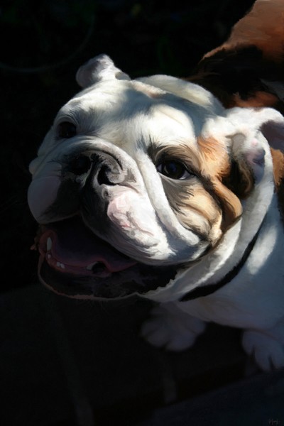 Gimmie A Kiss