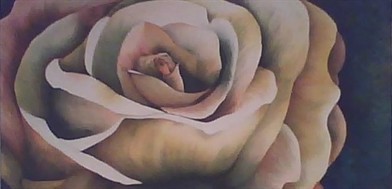 The Rose