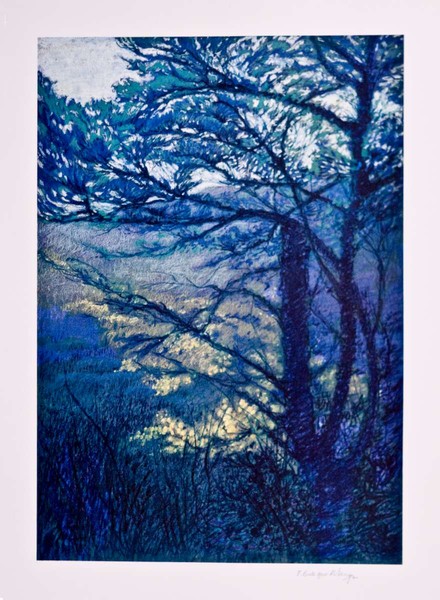 Bosco blu