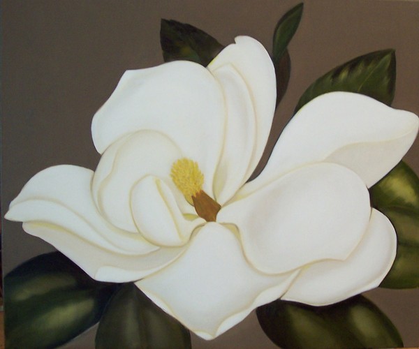magnolia