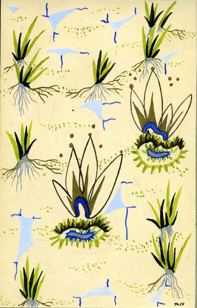 Hal Jos (1956) 6 F.G.JUENGER (1935)