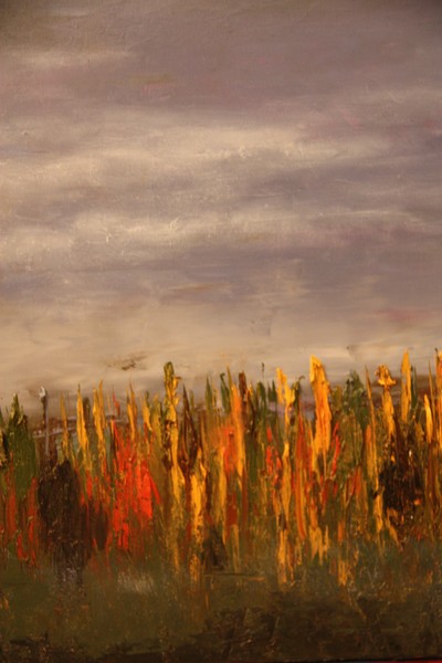 Vallee del rio Ibanez (50x50)
