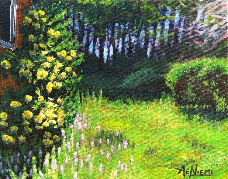 Blooming Azaleas