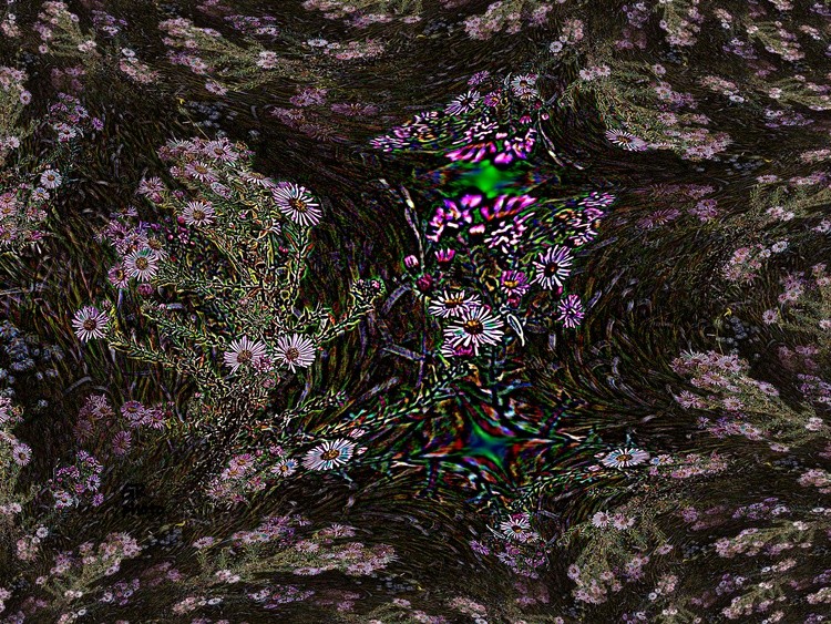 Flowers awesome