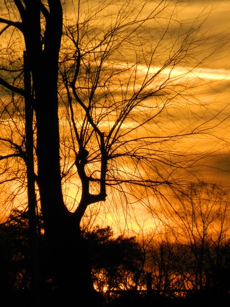 Sunset in The Mountains 2