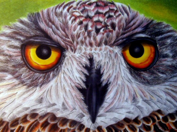 Eagle Owl