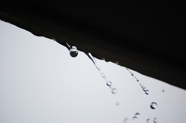 Rain Drops 