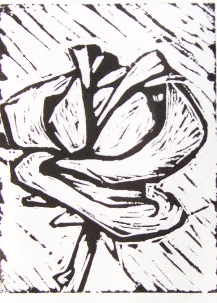 Linoleum rose