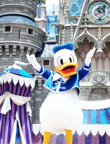 Donald duck