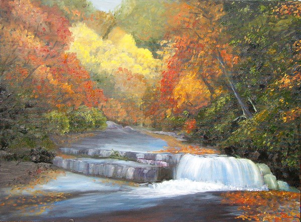 horseshoe falls