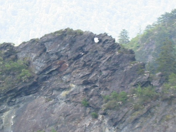 eye of the needle