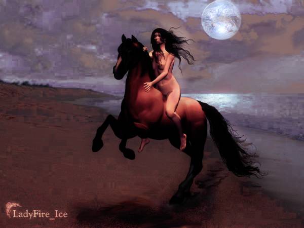 Moonlight Ride