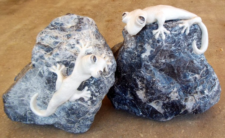 Gekkos in Love