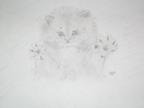 Kitten hugs