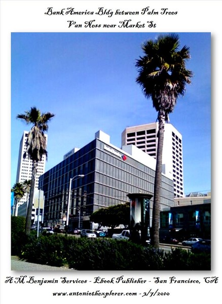 bank of america bldg between palm trees