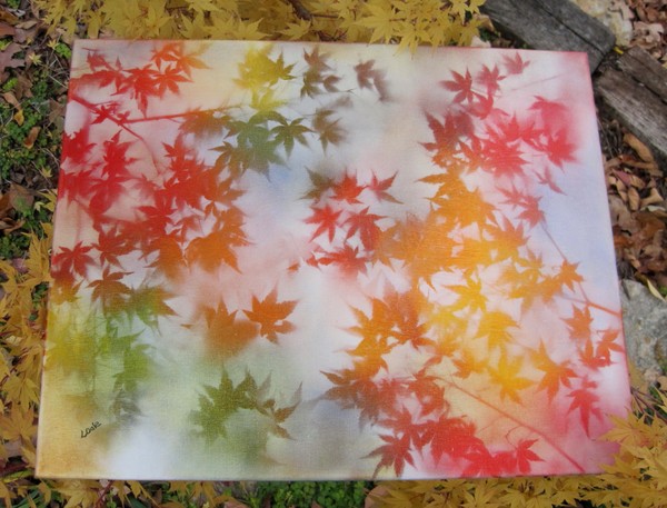 Fall Brilliance
