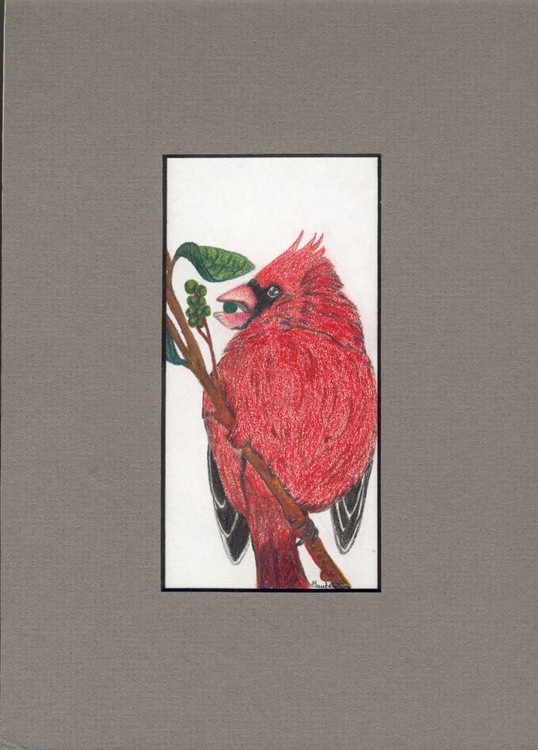 cardinal
