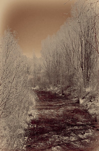 Rio Taos Bosque IV