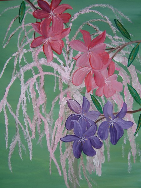 Weeping Cherry