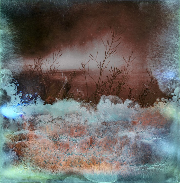 Amalgamated Fragmentation / Microbscape 1
