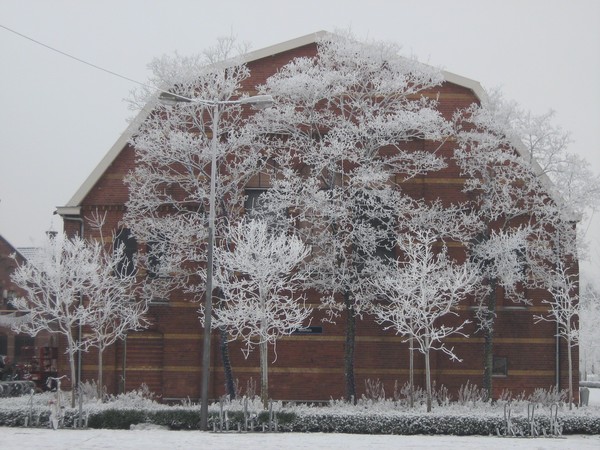 winter 11