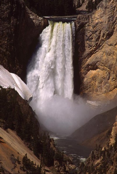 Lower Yellowstone Falls