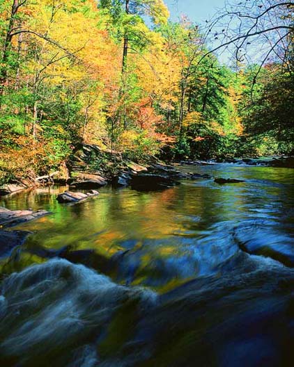 Autumn Colors over Little River