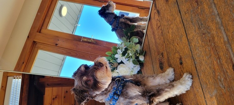 Bennett's Wedding Shoot