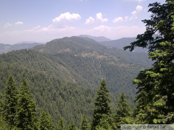 Ayubia National Park, KP, Pakistan