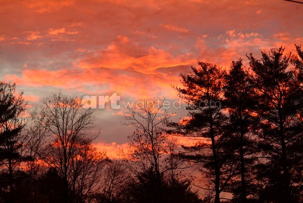 Painted Sky