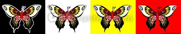 Native 008