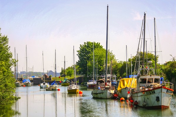 Just Boats