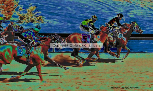 Winner By A Nose