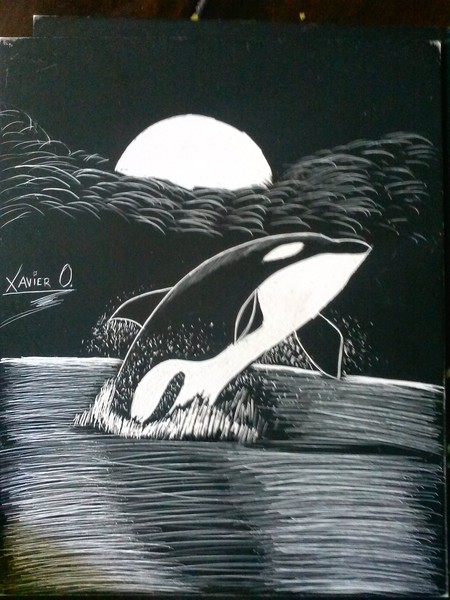 orca