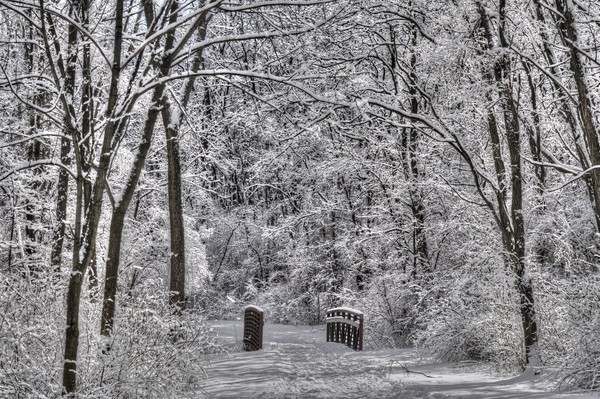 Winter at Raceway Woods