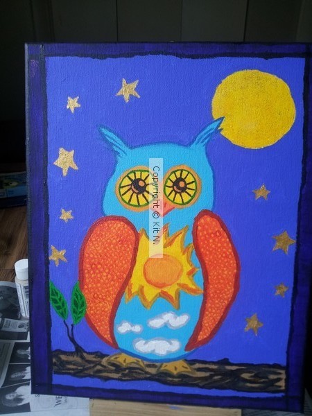 Night and Day Owl