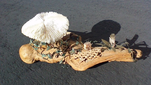 ' mushroom lamp '