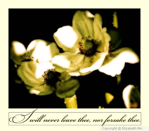 never leave thee
