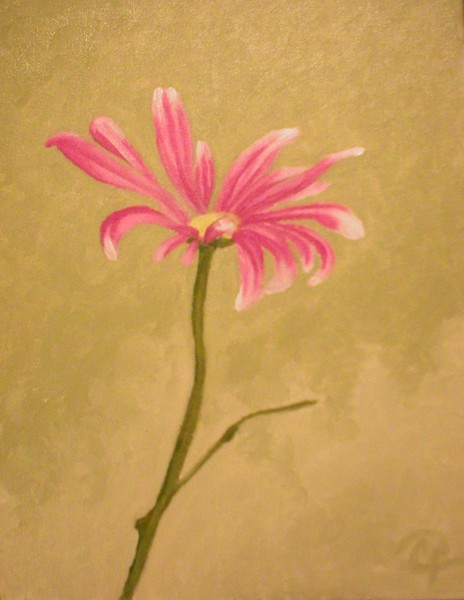 Pink Flower