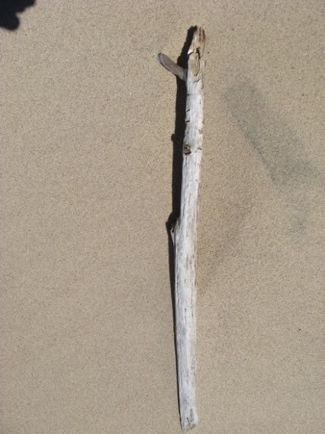 Driftwood1