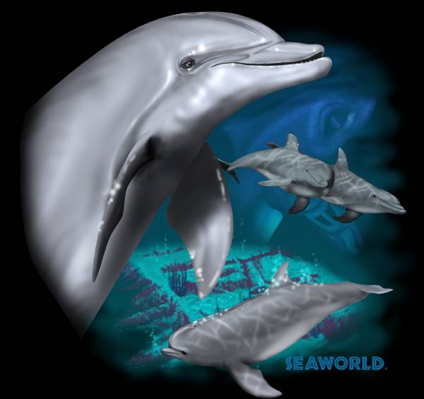 mystic dolphins