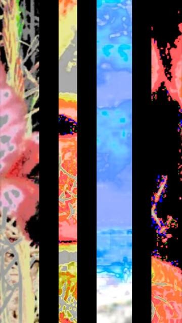 thumbnail-782