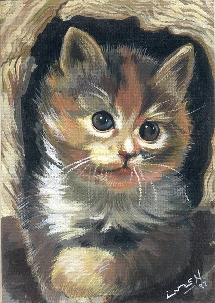 little kitten